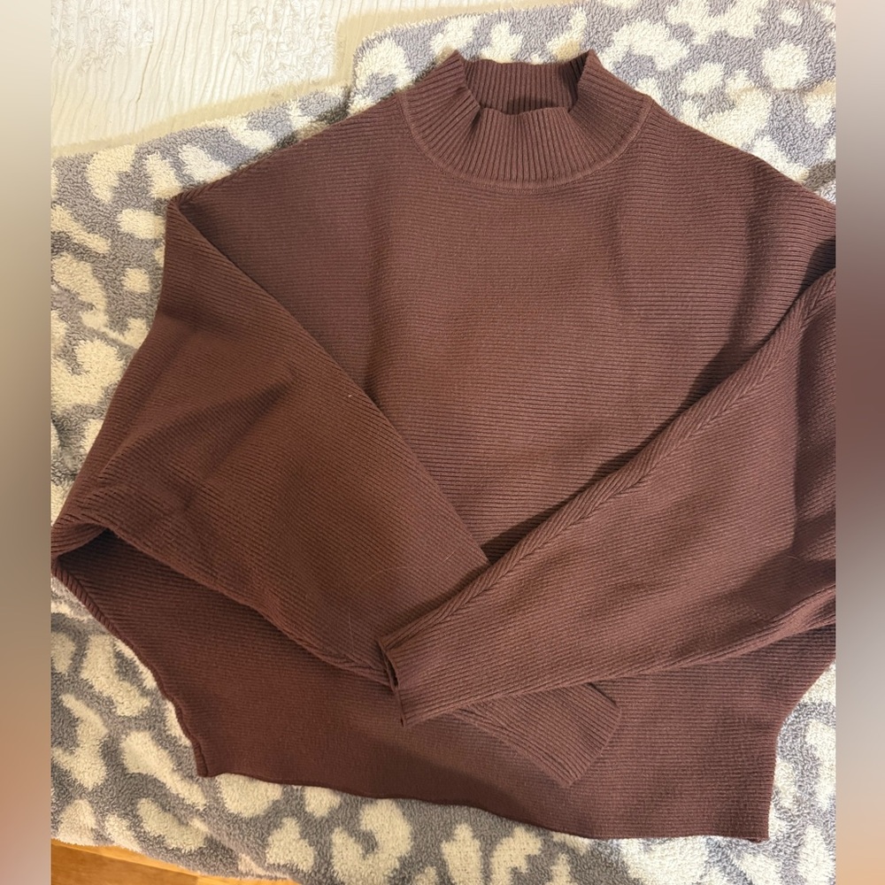 Brown Sweater